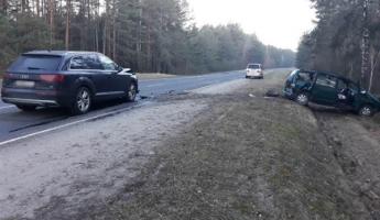 В Пинском районе из-за дикого кабана столкнулись две легковушки