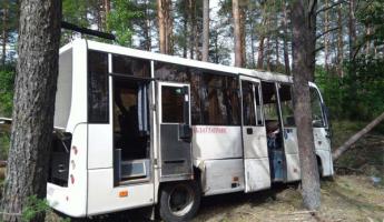 В Воложинском районе автобус врезался в дерево. Водитель умер