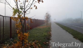 В Беларуси сохранится теплая погода