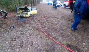 В Слонимском районе легковушка врезалась в дерево