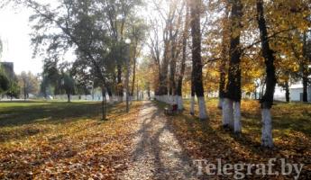 На выходных в Беларуси возможны заморозки