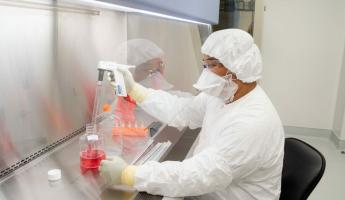В США фармкомпания заявила, что нашла антитело, которое способно быстро блокировать коронавирус