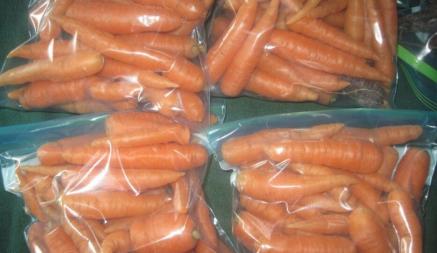 Как лучше всего сохранить морковь на зиму в домашних условиях, а также в погребе или подвале