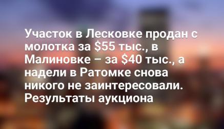 Участок в Лесковке продан с молотка за $55 тыс., в Малиновке – за $40 тыс., а надели в Ратомке снова никого не заинтересовали. Результаты аукциона