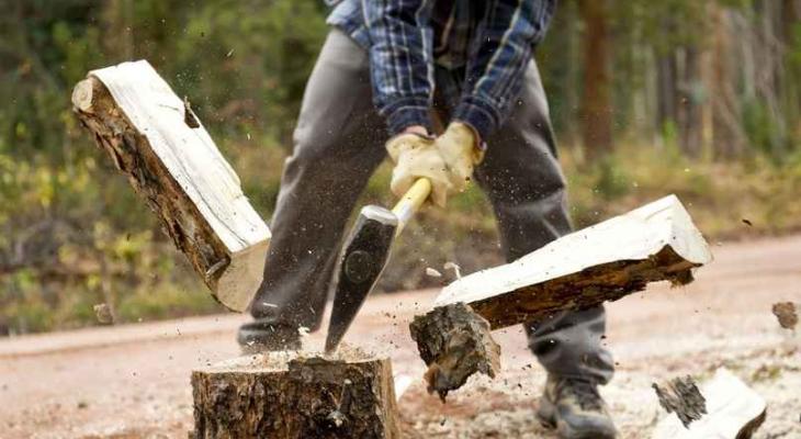 Решат проблему с дровами? В Беларуси ограничили вывоз древесины
