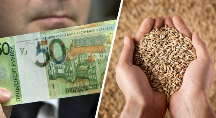 «С учетом снижения урожая зерна». Аналитики ЕАБР предсказали, что инфляция в Беларуси в сентябре может превысить 10%
