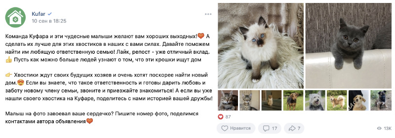 “Кровосток” в TikTok, использование UGC-контента и совместные проекты