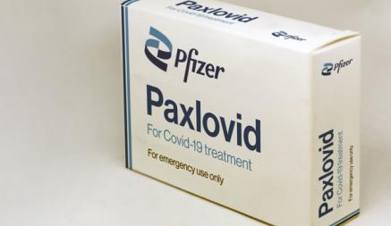 Pfizer поделился с 95 странами лицензией на лекарства против COVID-19. Когда может появиться в Беларуси?