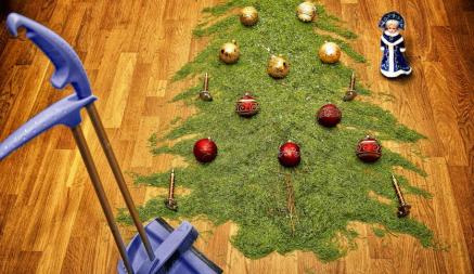 Что сделать, чтобы новогодняя елка не сбрасывала иголки? Две простые, но неочевидные хитрости