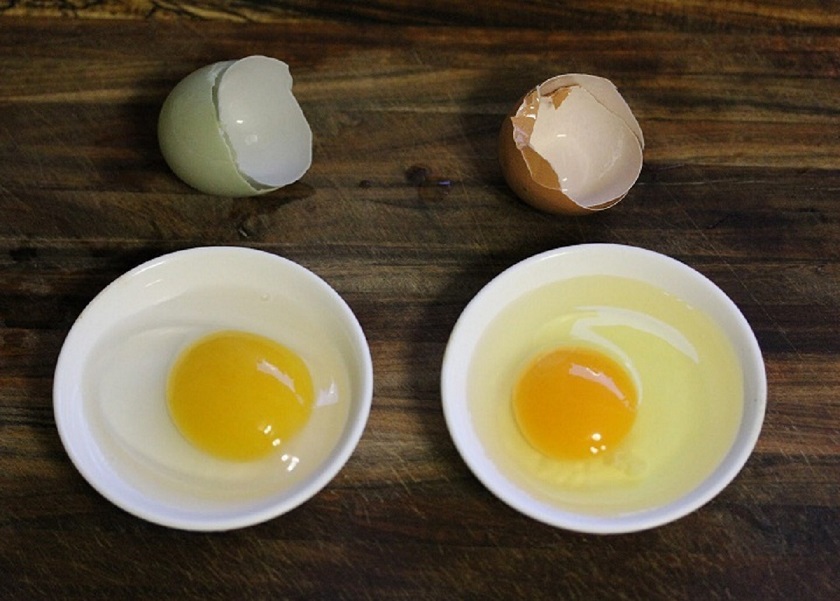 Почему свежее яйцо должно быть мутным? Хранить острым или тупым концом вверх? Белые или цветные, домашние или магазинные? Собрали всю информацию о яйцах