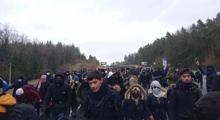 В Германии назвали число мигрантов, которые до сих пор находятся в Беларуси. И посчитали скольким удалось проникнуть в ЕС