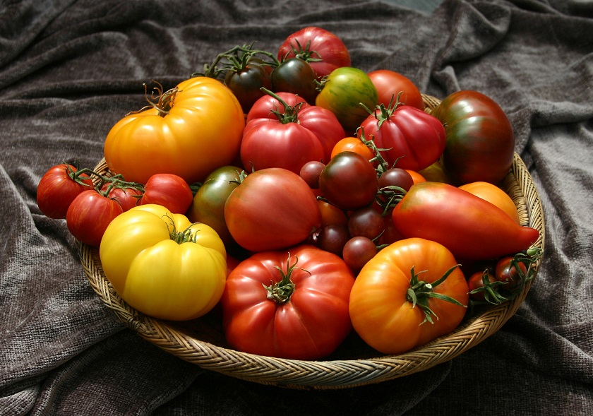 Когда сеять рассаду тепличных томатов, а когда — "уличных"? Какие семена выбрать? Начинаем готовиться к дачному сезону