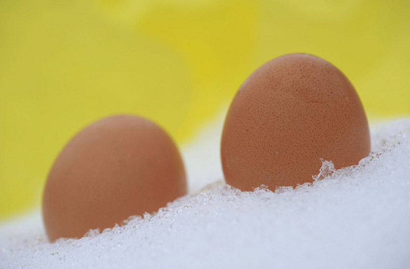 Как хранить яйца долго без холодильника? А в морозилке можно? Собрали только правильные и безопасные способы