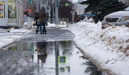 Весна будет ранней? Синоптики рассказали, что температура в Беларуси в январе была на 2,1°C выше нормы. А что ждать от февраля?