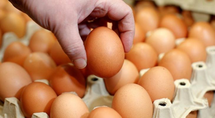 Что будет с организмом если есть одно яйцо в день? Китайские учёные узнали