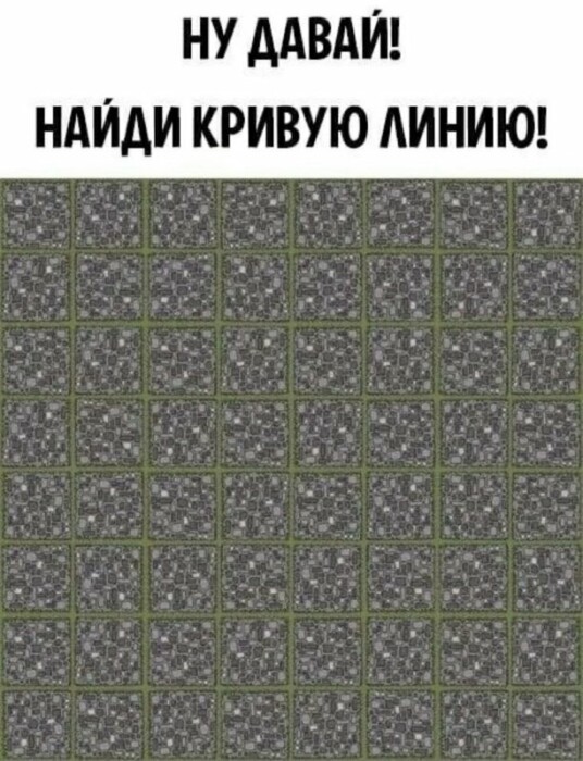 «После этого мне нужны новые глаза» — Попробуйте найти на оптической иллюзии кривые линии