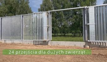 В Польше показали, какие проходы для зубров сделали в стене на границе с Беларусью. Для кого еще?