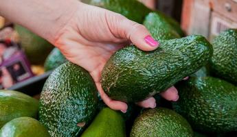 Как выбрать идеальное авокадо? Есть простой способ