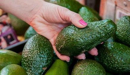 Как выбрать идеальное авокадо? Есть простой способ