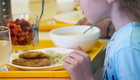 Сколько будет стоить питание в школах? В  гимназиях,