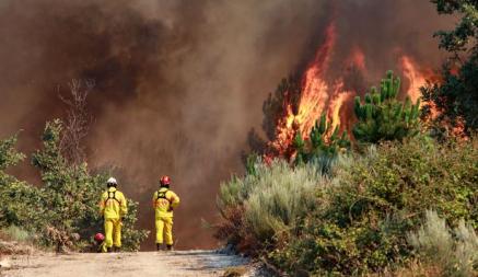 В Португалии разбушевались лесные пожары. Синоптики предупреждают о рекордной жаре в Европе выше +40 градусов