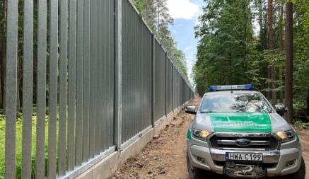 В Польше объявили о сокращении количества нелегалов из Беларуси. Но медведям стена не помеха?