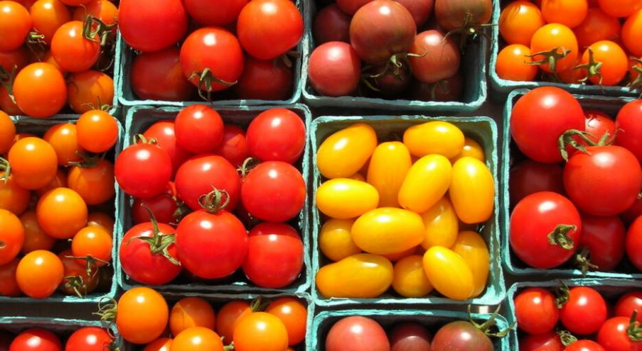Чем полезны помидоры? Томаты содержат большое количество полезных