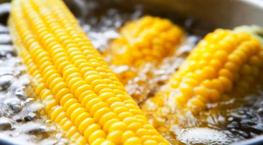 Как выбрать хороший початок кукурузы? Сначала нужно выбрать