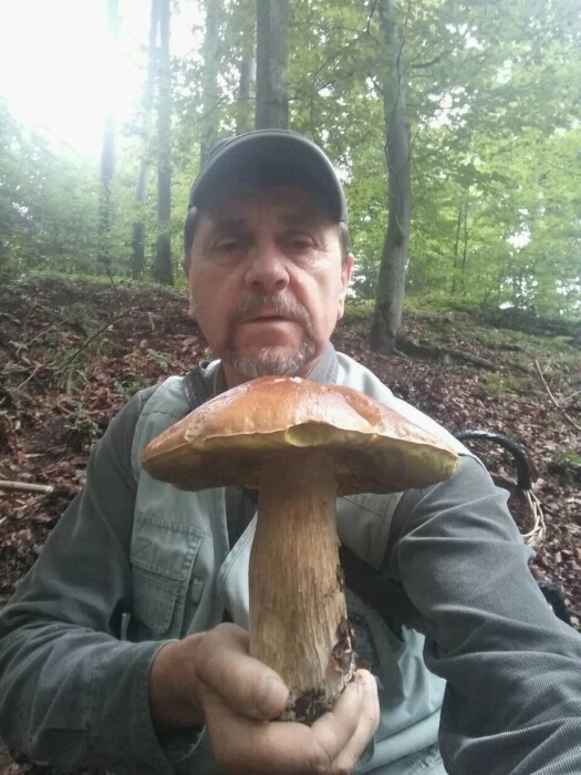 Не ходите в заросший травой лес. Грибник со стажем рассказал, когда и где искать здоровые большие грибы