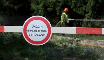 Белорусам разрешили ходить в лес только в трех районах страны