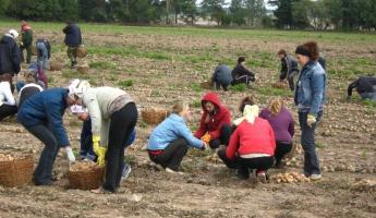 В Совете Республики призвали белорусских школьников помочь собрать урожай «лучшим в мире» аграриям