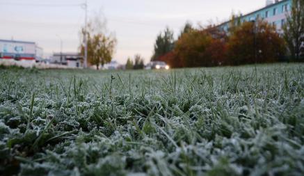 От -3°С до +21°С. Синоптики спрогнозировали дожди и заморозки в части Беларуси во второй половине недели