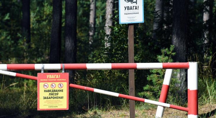 Белорусам разрешили ходить в лес почти везде. Исключение — 15 районов у границы с Украиной