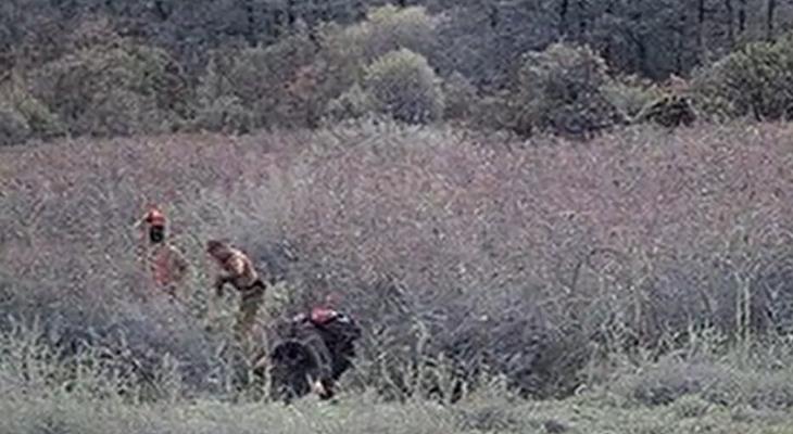 Польша показала видео переправы нелегалов из Беларуси через болото