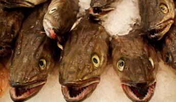 В России на Сахалине семьям мобилизованных пообещали дать по 5 кг рыбы