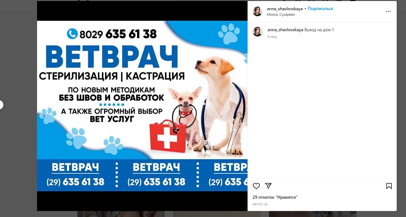 Белорусов предупредили о «лже-ветеринаре», которая чуть не убила собаку