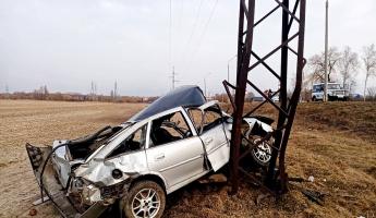 Под Гомелем водитель на скорости 105 км/ч вылетел с дороги на линию электропередач