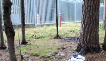 В Беларуси на границе с Польшей нашли мертвого мигранта — ГПК