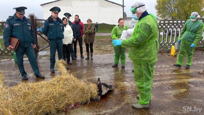 Местное издание «Светлогорске новости» сообщило, что учения проводились