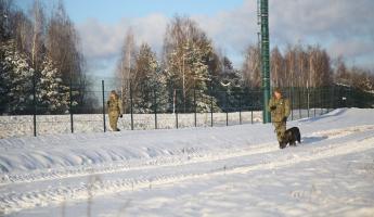 Белорусские пограничники рассказали, что все чаще слышат иностранную речь