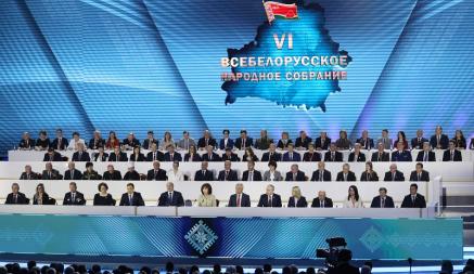 ЦИК запретил быть делегатами ВНС белорусам с «картой поляка»