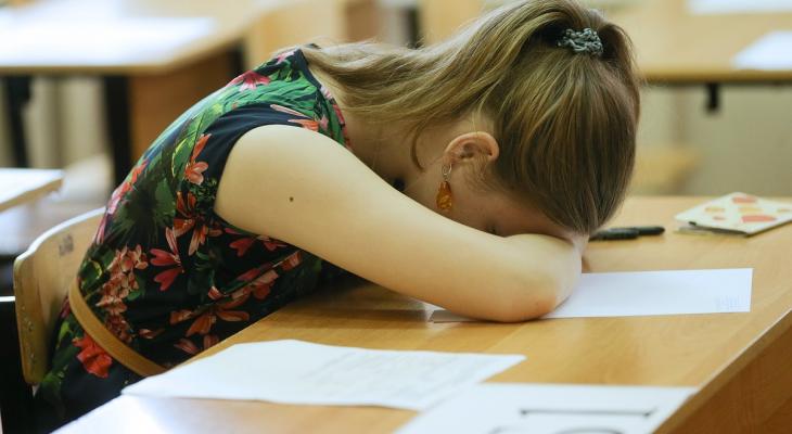 В Минобразования Беларуси назвали 23 специальности, на которые можно будет поступать без экзаменов