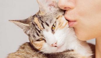 Ученые рассказали, почему людям нельзя дышать на кошек