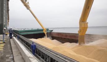 Украина продолжила вывоз зерна по Черному морю, несмотря на «запрет» России