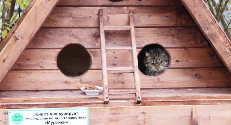 Кошачий домик из газетных трубочек – 4 этапа плетения