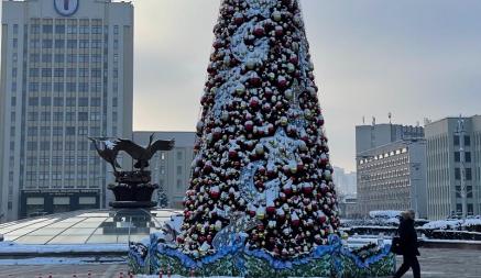 Новогоднюю ёлку в Минске украсили снегирями в цветах госфлага