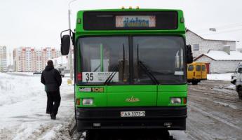 Власти Гомеля объяснили, почему перестали ходить автобусы — «Непростой период»