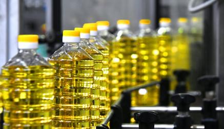 Какое масло полезнее — рапсовое или оливковое? Ответ экспертов удивил