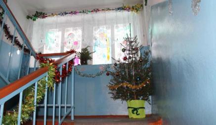 В Дрогичине школьницы украли елку из подъезда