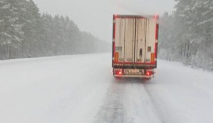 Почти всю трассу М1 из Бреста в Минск замело снегом